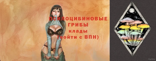 PSILOCYBIN Абдулино