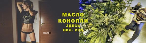 дмт Сатка