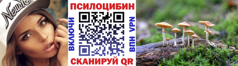 цены   Вилюйск  Псилоцибиновые грибы Magic Shrooms 